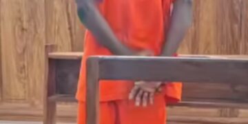 Viol sur une femme en situation de handicap à Pita : Amadou Diallo condamné à 4 ans de prison