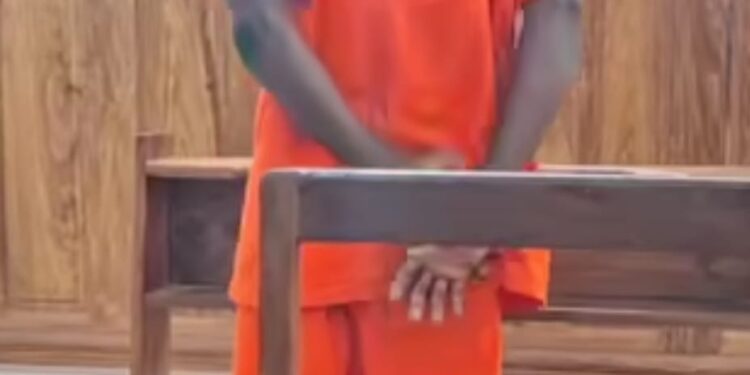 Viol sur une femme en situation de handicap à Pita : Amadou Diallo condamné à 4 ans de prison