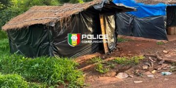 Sénégal : la Police démentèle un réseau présumé de prostitution forcée entre le Sénégal et le Nigéria