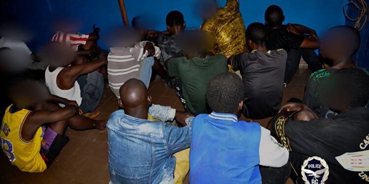 Opération antidrogue à Nongo : 16 personnes arrêtées et plusieurs substances illicites saisies