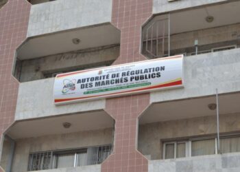 Décret : Mohamed Diallo nommé Directeur général de l’ARMP