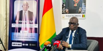 Fonds souverain : Dr Almamy II Sylla appelle à préparer l’après-Simandou dès maintenant