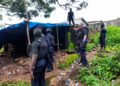 Opération Ouragan à Dubréka : 12 personnes interpellées, des foyers de stupéfiants démantelés