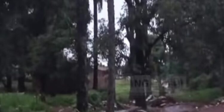Sangarédi : une septuagénaire meurt emportée par les eaux à Thiankounaye