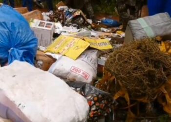 Produits impropres, médicaments illicites et chanvre indien : près de 30 tonnes de marchandises saisies incinérées à Forécariah