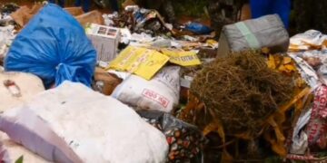 Produits impropres, médicaments illicites et chanvre indien : près de 30 tonnes de marchandises saisies incinérées à Forécariah