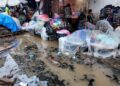 Marché de Madina : les commerçantes dénoncent l’insalubrité en cette saison des pluies