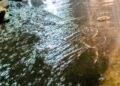 Nuit du 16 au 17 août : des pluies fortes attendues dans 3 régions (ANM)