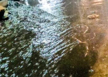 Nuit du 16 au 17 août : des pluies fortes attendues dans 3 régions (ANM)