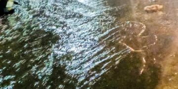 Nuit du 16 au 17 août : des pluies fortes attendues dans 3 régions (ANM)