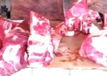 Labé : la boucherie centrale rouvre avec 1 kg de viande à 60 000 GNF