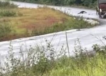 Kindia-Mamou: deux voyageurs perdent la vie dans un accident
