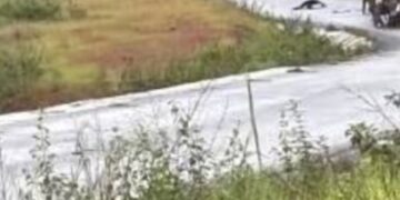 Kindia-Mamou: deux voyageurs perdent la vie dans un accident