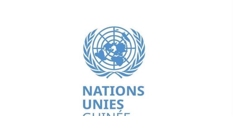 Éboulement à Dar es salam : le Système des Nations Unies prêt à apporter son assistance