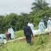 Forécariah : six corps découverts dans une fosse commune à Allassoyah