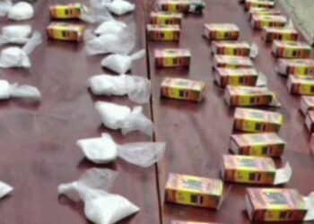 Trafic de drogue : l’OCAD saisit 0,725 kg de cocaïne dissimulée dans des paquets de thé Achoura