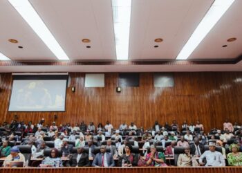 Assemblée nationale : les députés habilitent le Président à légiférer par ordonnances