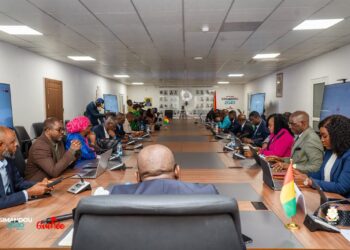 Programme Simandou 2040 : les ministres bientôt à la RTG pour présenter leurs projets