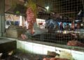 Labé : la boucherie du grand marché central fermée à partir de ce lundi 17 août pour non-respect du prix de la viande