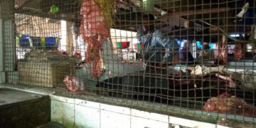 Labé : la boucherie du grand marché central fermée à partir de ce lundi 17 août pour non-respect du prix de la viande