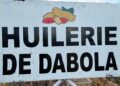 Dabola : la capacité de l’usine d’huilerie portée à 150 tonnes par jour après sa rénovation