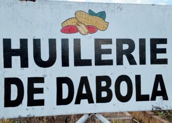 Dabola : la capacité de l’usine d’huilerie portée à 150 tonnes par jour après sa rénovation
