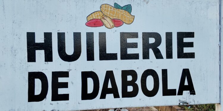 Dabola : la capacité de l’usine d’huilerie portée à 150 tonnes par jour après sa rénovation