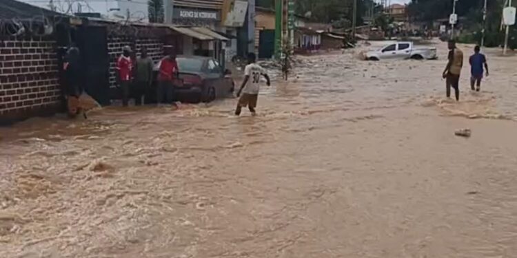 Pluies intenses à N’Zérékoré : plusieurs zones de la ville submergées