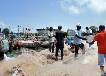 Pêche artisanale : des acteurs inquiets après la levée du repos biologique
