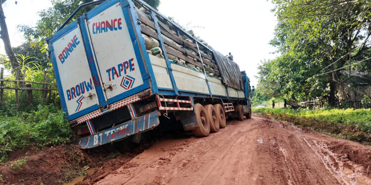 Timbi Madina–Ninguilandé : une route en état de dégradation avancée