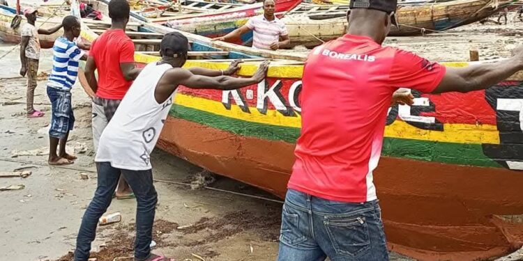 Fin du repos biologique : la flotte de pêche reprend la mer en Guinée
