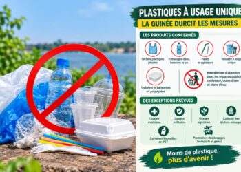 Plastiques à usage unique : le gouvernement précise les règles avant l’entrée en vigueur de l’interdiction