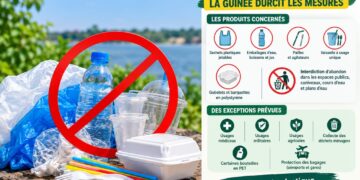 Plastiques à usage unique : le gouvernement précise les règles avant l’entrée en vigueur de l’interdiction