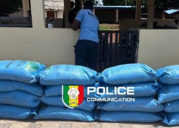 Trafic d’engrais : 20 sacs d’urée saisis sur l’axe Sénégal-Guinée