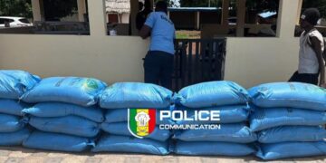 Trafic d’engrais : 20 sacs d’urée saisis sur l’axe Sénégal-Guinée