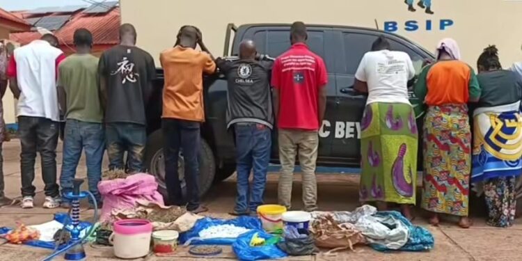 Opération antidrogue à Beyla : des suspects interpellés et des produits saisis