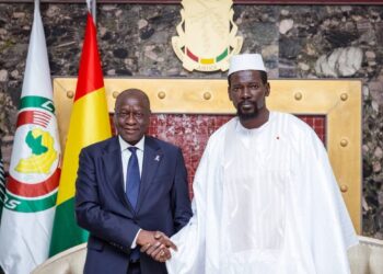 Ousmane Diagana reçu par le président Doumbouyav: « la Guinée a démontré qu’elle a une capacité de mise en œuvre impressionnante…»