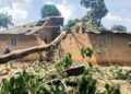 Kissidougou : la chute d’un arbre sur une habitation fait cinq blessés