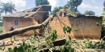 Kissidougou : la chute d’un arbre sur une habitation fait cinq blessés