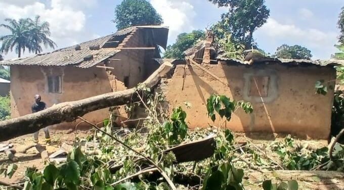 Kissidougou : la chute d’un arbre sur une habitation fait cinq blessés