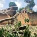 Kissidougou : la chute d’un arbre sur une habitation fait cinq blessés