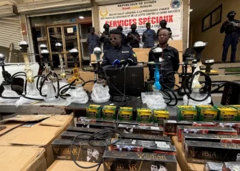 Lutte contre la chicha : la police fait une saisie évaluée à près de 920 millions de francs guinéens