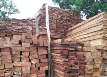 Filière bois : la reprise encadrée des activités annoncée ce 1er octobre