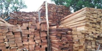 Filière bois : la reprise encadrée des activités annoncée ce 1er octobre